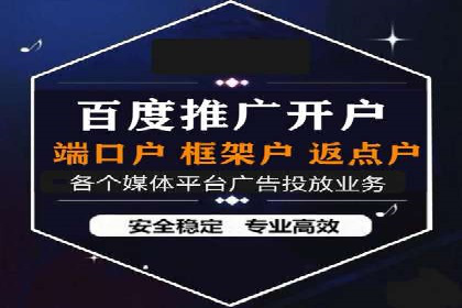 SEM推广公司成功案例：助力企业实现品牌多元化发展